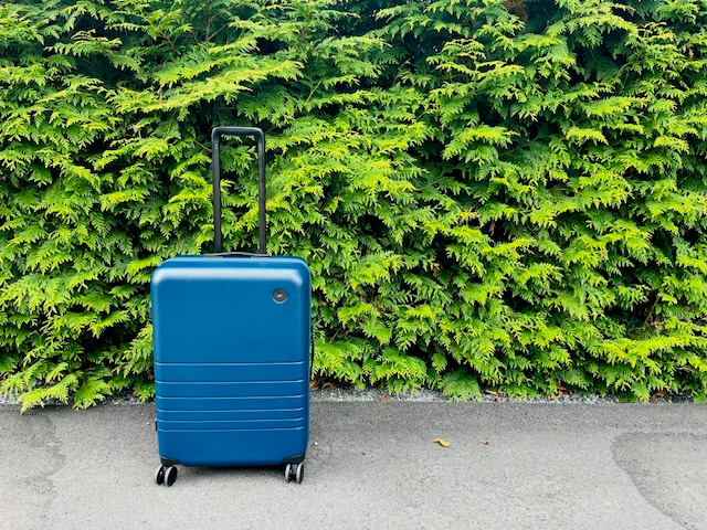 Monos Suitcase; Check in vs Carry On