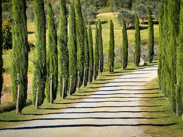 Renaissance on the Road: Our 5-Day Tuscany Itinerary