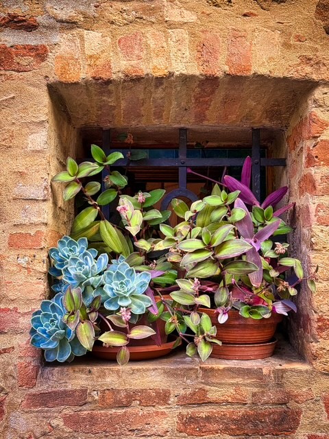 Pienza: The Renaissance Gem of Tuscany’s Val d’Orcia