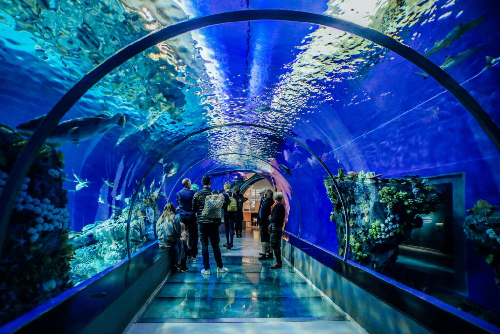 Dubai Aquarium Tunnel