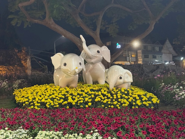 Chiang Mai Old Town: An Afternoon Walk Through History, Temples & Seriously Good Food