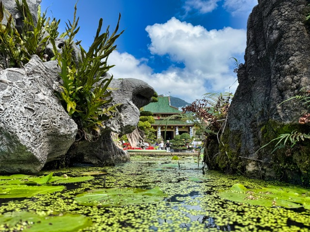Son Tra Peninsula in Da Nang: The Ultimate Day with Lady Buddha and Rare Monkeys