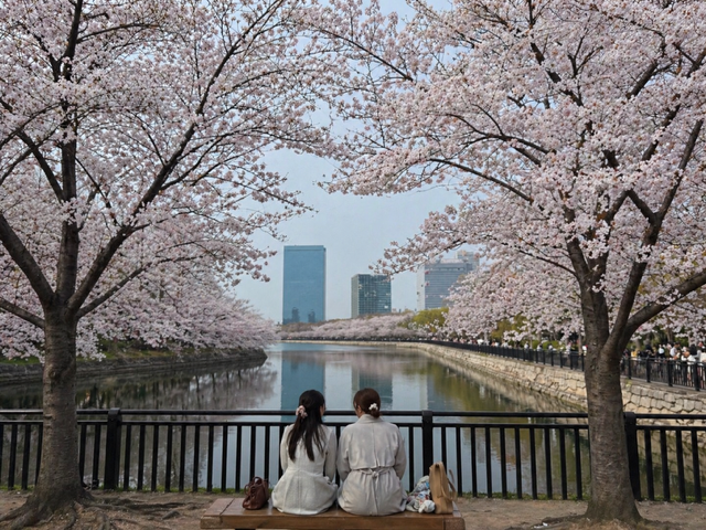 10 Days in Osaka: A Complete Travel Guide with Itinerary & Tips
